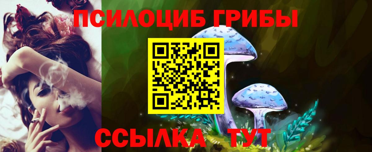 Псилоцибиновые грибы Magic Shrooms Барнаул